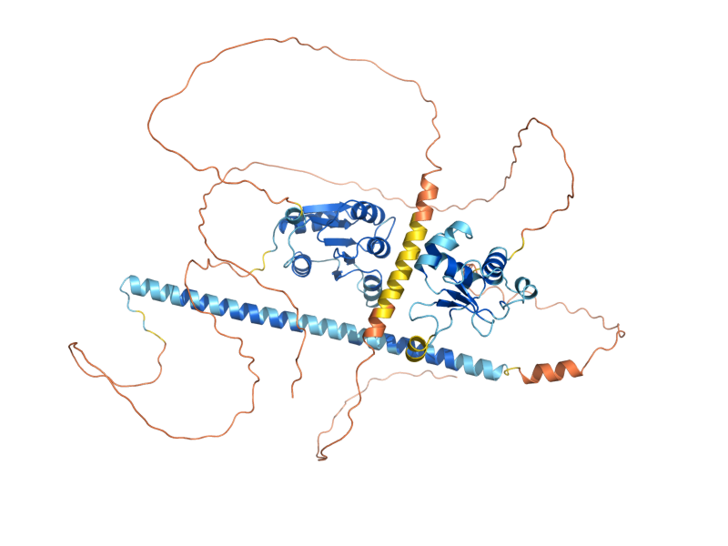 AlphaFold predicted structure of SKN7