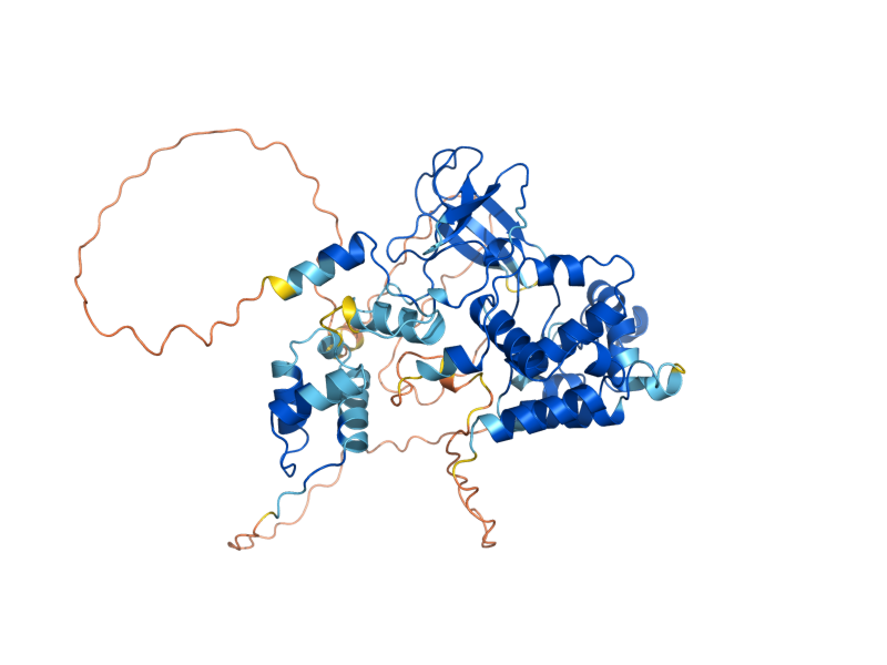 AlphaFold predicted structure of SET5