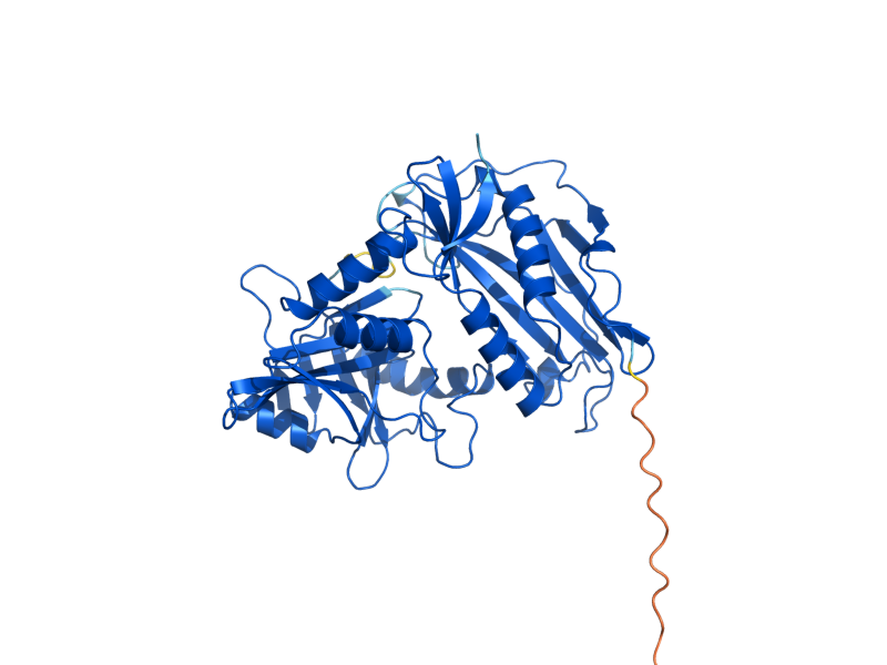 AlphaFold predicted structure of BAT1