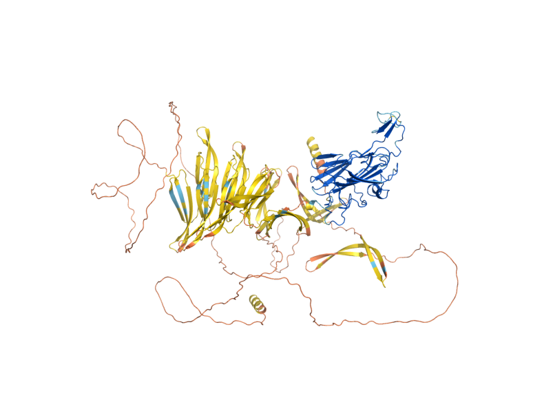 AlphaFold predicted structure of FLO5