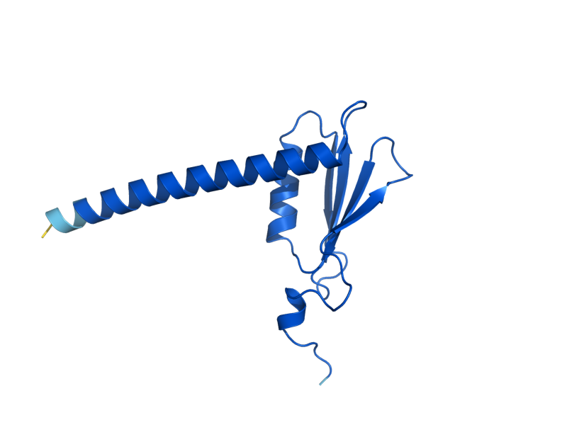AlphaFold predicted structure of RPB11