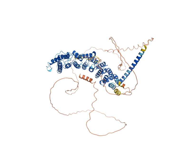 AlphaFold predicted structure of RTS1
