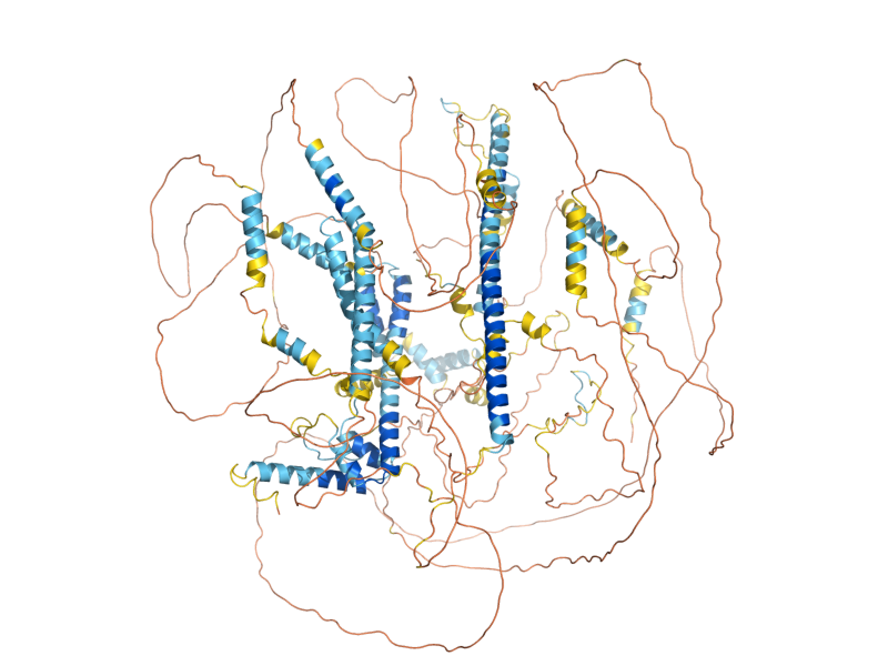 AlphaFold predicted structure of SPP41
