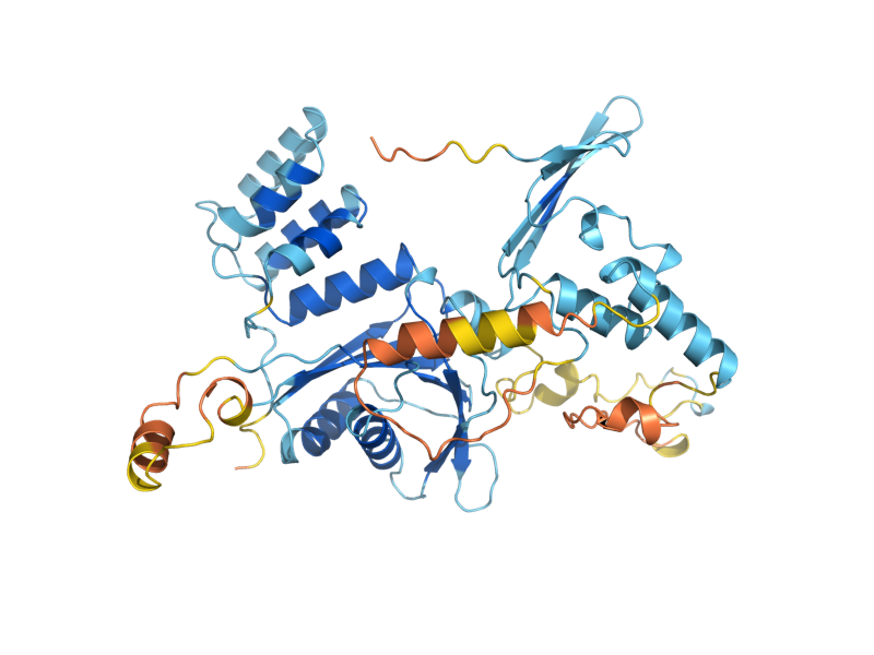 AlphaFold predicted structure of CHL4