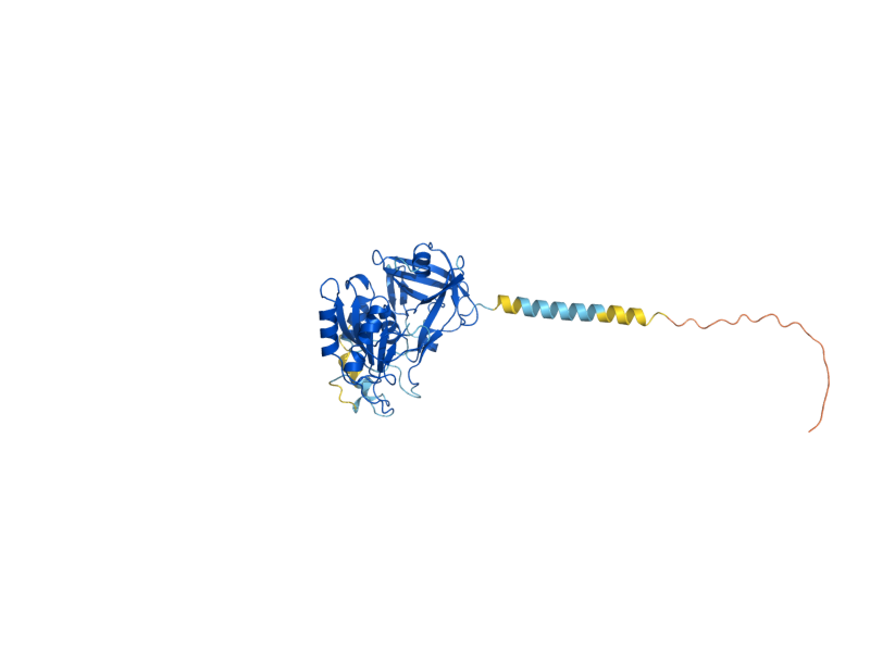 AlphaFold predicted structure of CYC2
