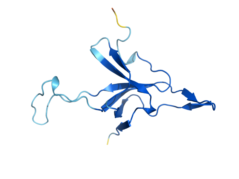 AlphaFold predicted structure of HSP10