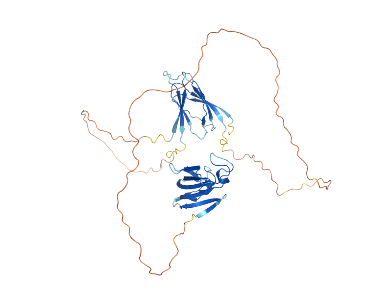 AlphaFold predicted structure of FPR3
