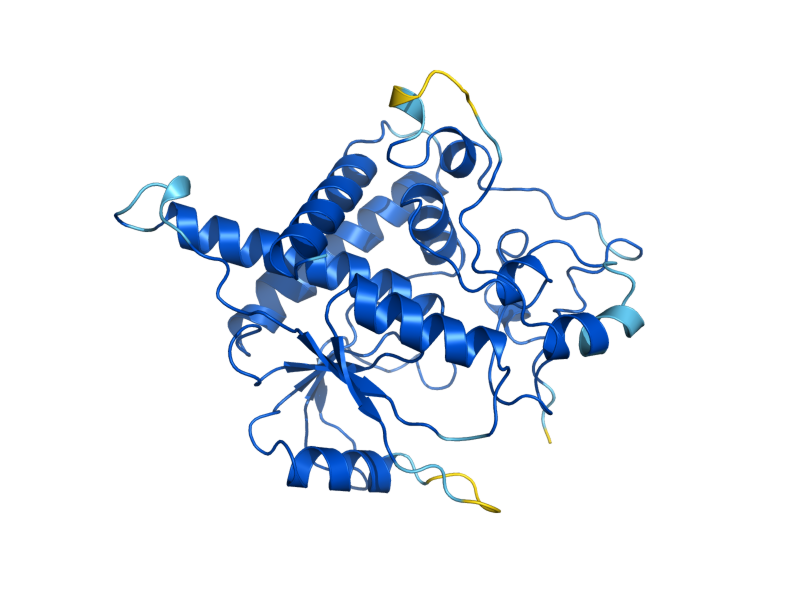 AlphaFold predicted structure of FAD1