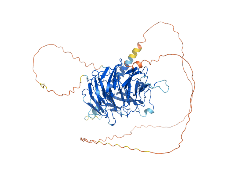 AlphaFold predicted structure of SPT8