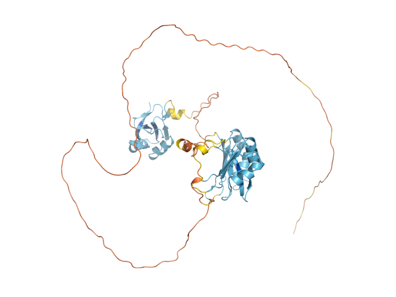 AlphaFold predicted structure of HRB1