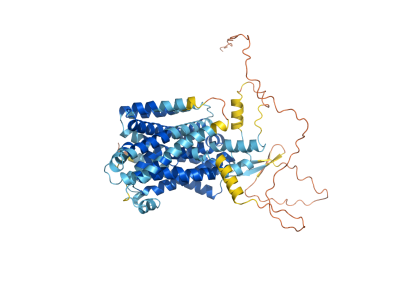 AlphaFold predicted structure of SMF1