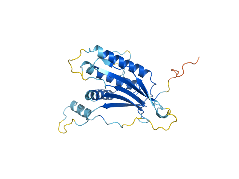 AlphaFold predicted structure of REV7