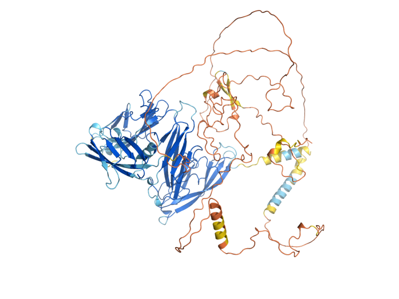 AlphaFold predicted structure of AXL2