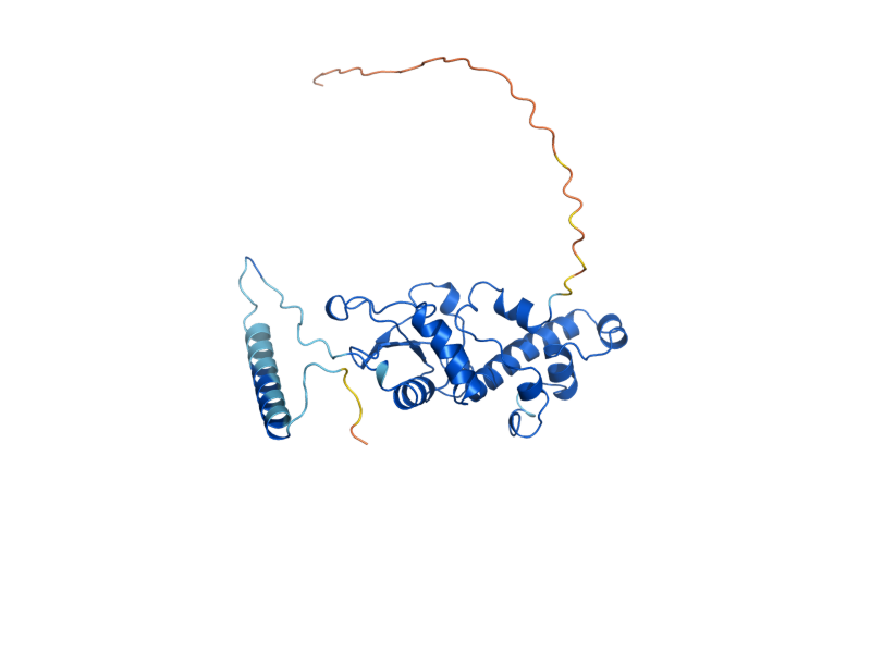 AlphaFold predicted structure of CKB2
