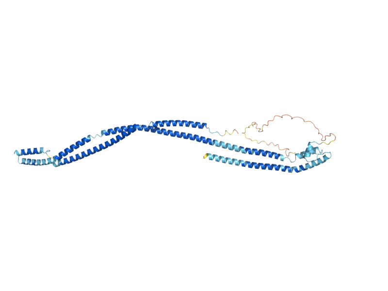 AlphaFold predicted structure of BFR1