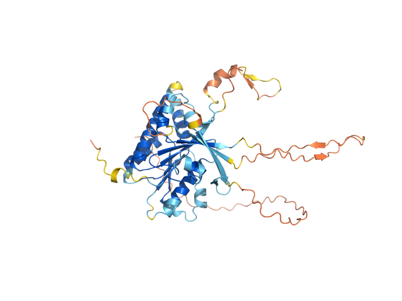 AlphaFold predicted structure of RAD55