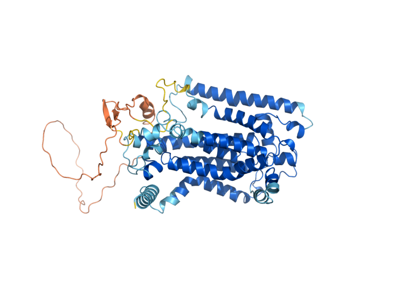 AlphaFold predicted structure of IPT1
