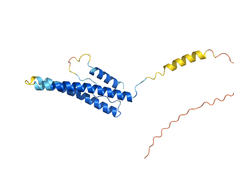 AlphaFold predicted structure of SNF11