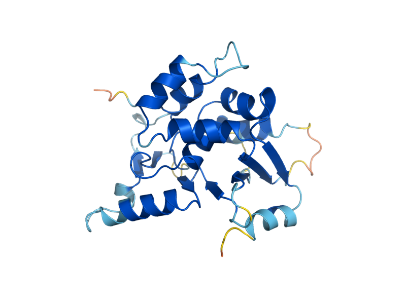 AlphaFold predicted structure of SHU2