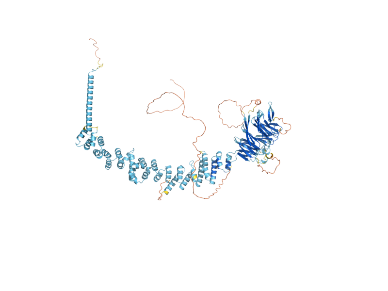 AlphaFold predicted structure of VPS41