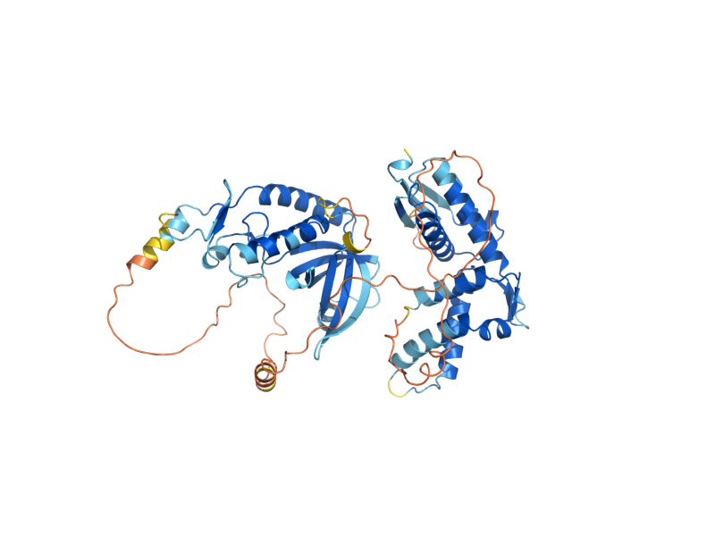 AlphaFold predicted structure of STN1