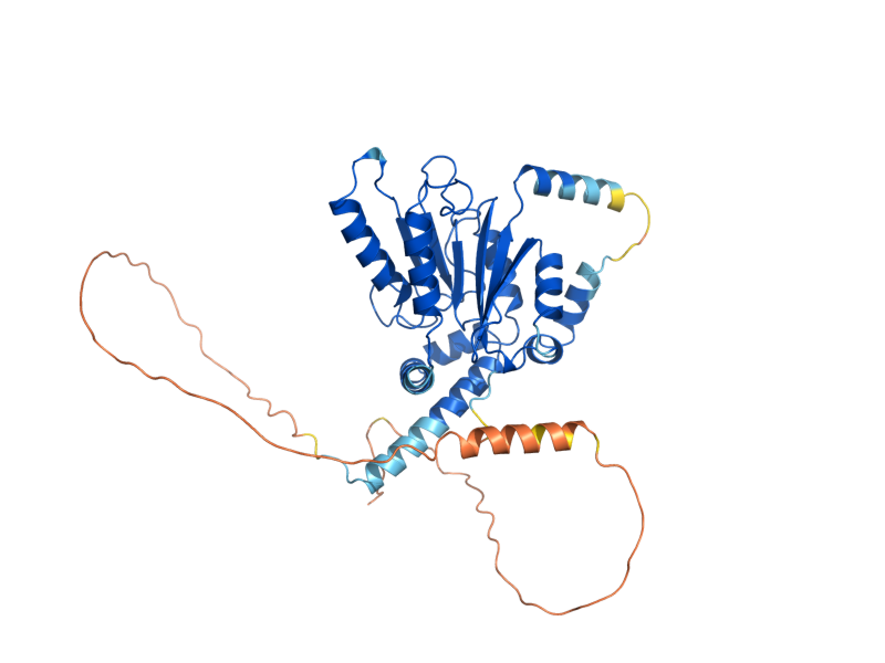 AlphaFold predicted structure of RRP8