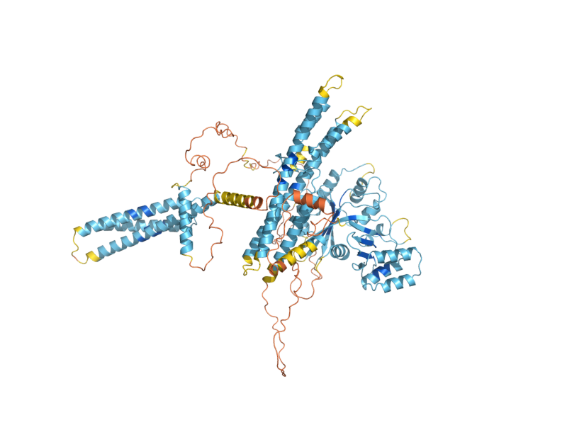 AlphaFold predicted structure of VTC5