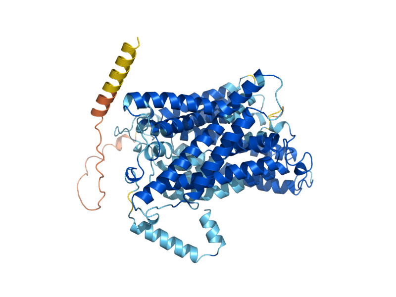 AlphaFold predicted structure of TAT2