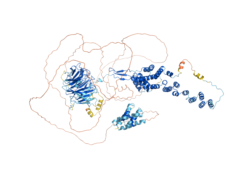 AlphaFold predicted structure of SEC31