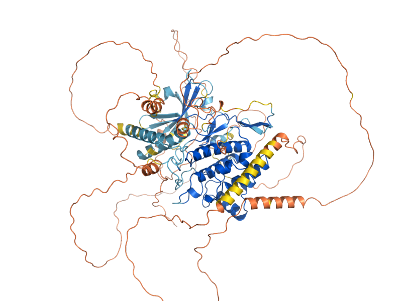 AlphaFold predicted structure of HAL5
