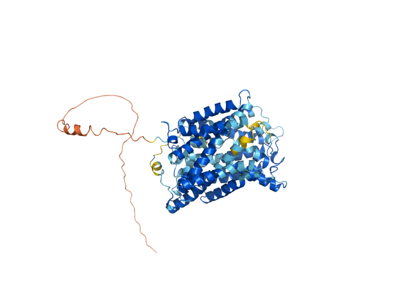 AlphaFold predicted structure of ALP1