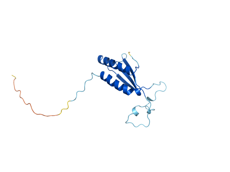 AlphaFold predicted structure of SRP14