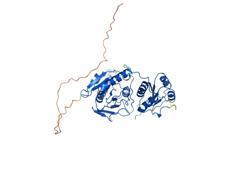 AlphaFold predicted structure of ASP1