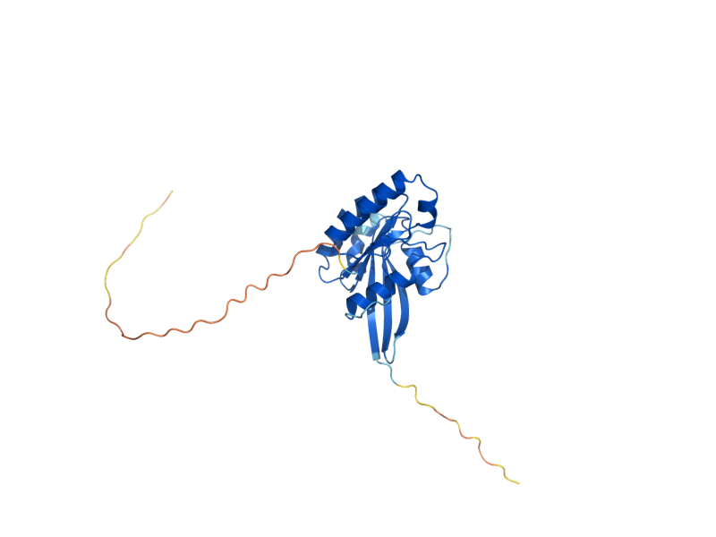 AlphaFold predicted structure of TEM1
