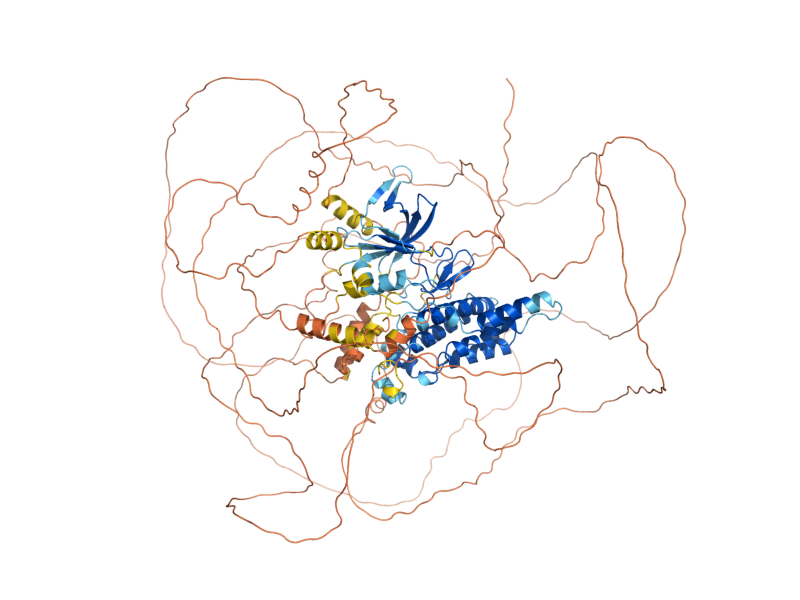 AlphaFold predicted structure of SAK1