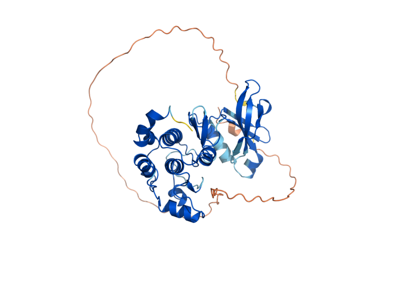AlphaFold predicted structure of IPL1