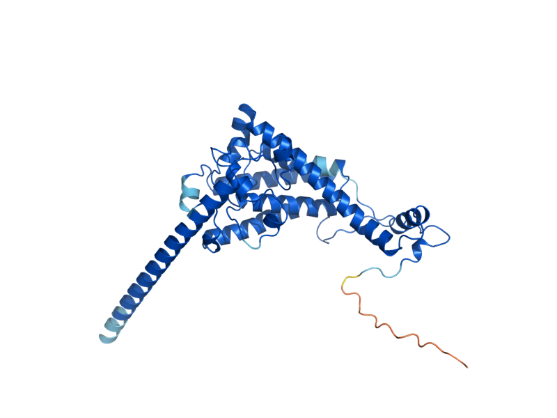 AlphaFold predicted structure of SUR2