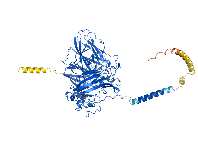 AlphaFold predicted structure of FET3