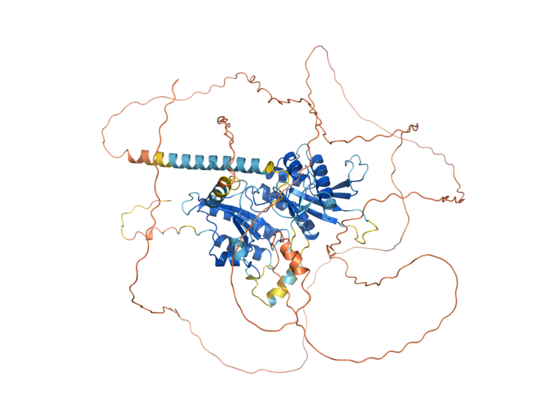 AlphaFold predicted structure of MSS4