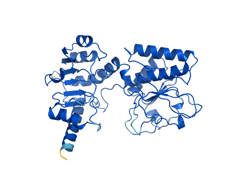 AlphaFold predicted structure of LYS1