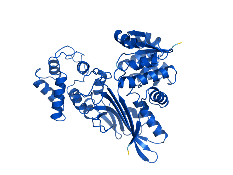 AlphaFold predicted structure of LYS9