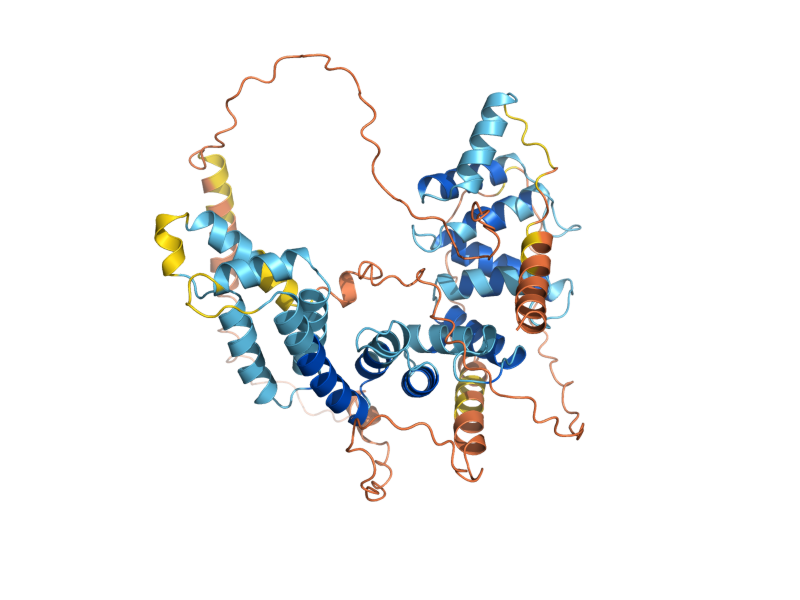 AlphaFold predicted structure of SHC1