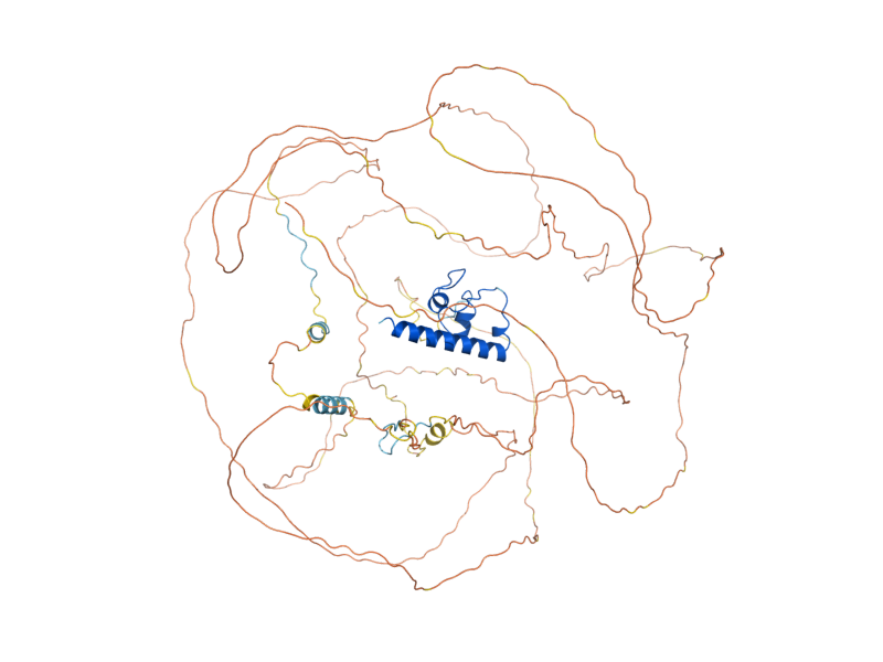 AlphaFold predicted structure of UME6