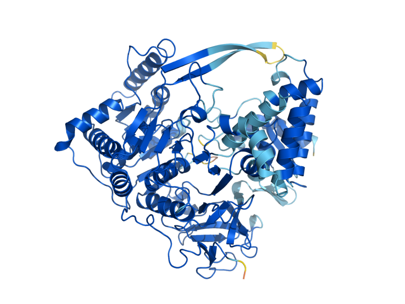AlphaFold predicted structure of FAA3