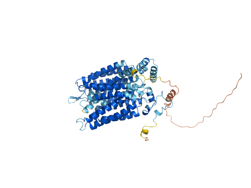 AlphaFold predicted structure of HXT6