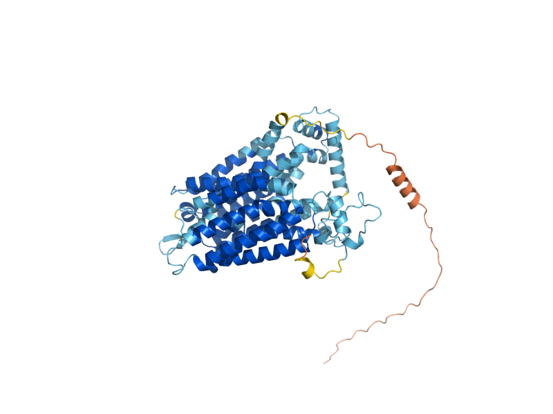 AlphaFold predicted structure of HXT7