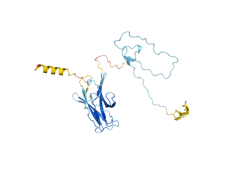 AlphaFold predicted structure of KRE9
