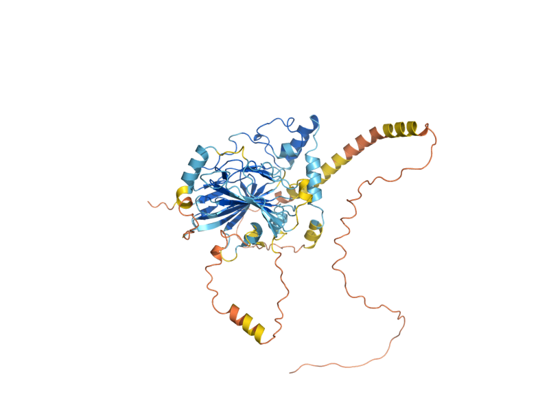 AlphaFold predicted structure of PSD1