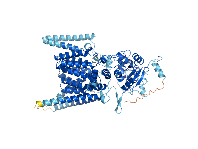 AlphaFold predicted structure of STT3