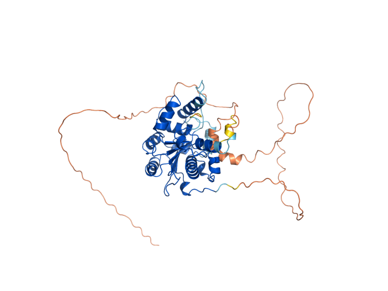AlphaFold predicted structure of POP2